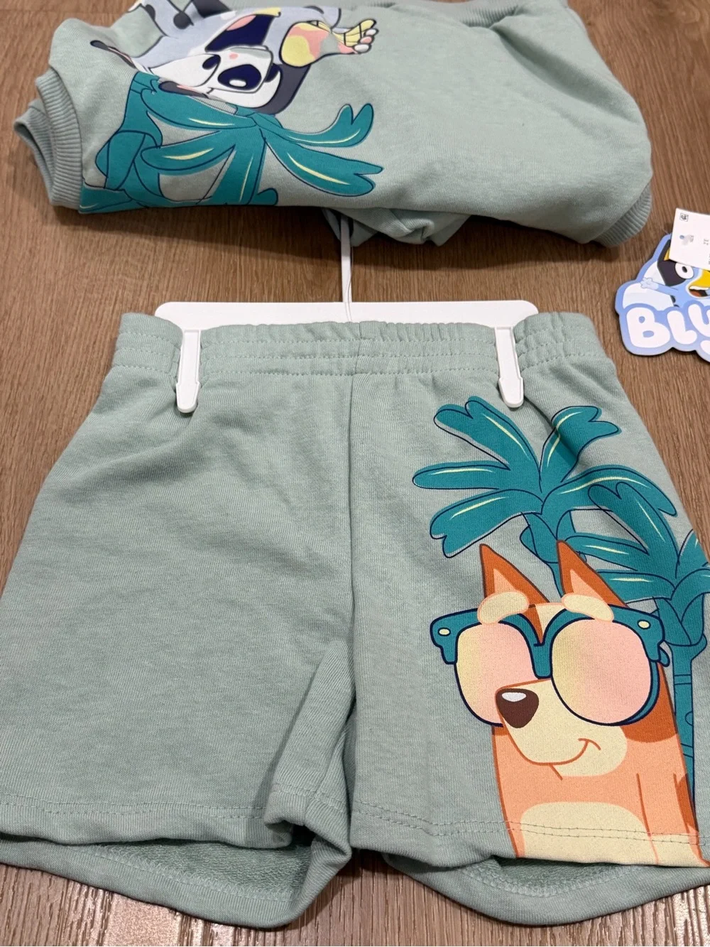 Bluey Kids Mint Green Hooded shorts Set with Sunglasses Pup Graphic